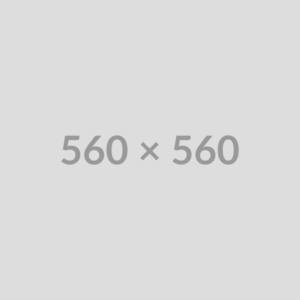 Placeholder 560x560 2